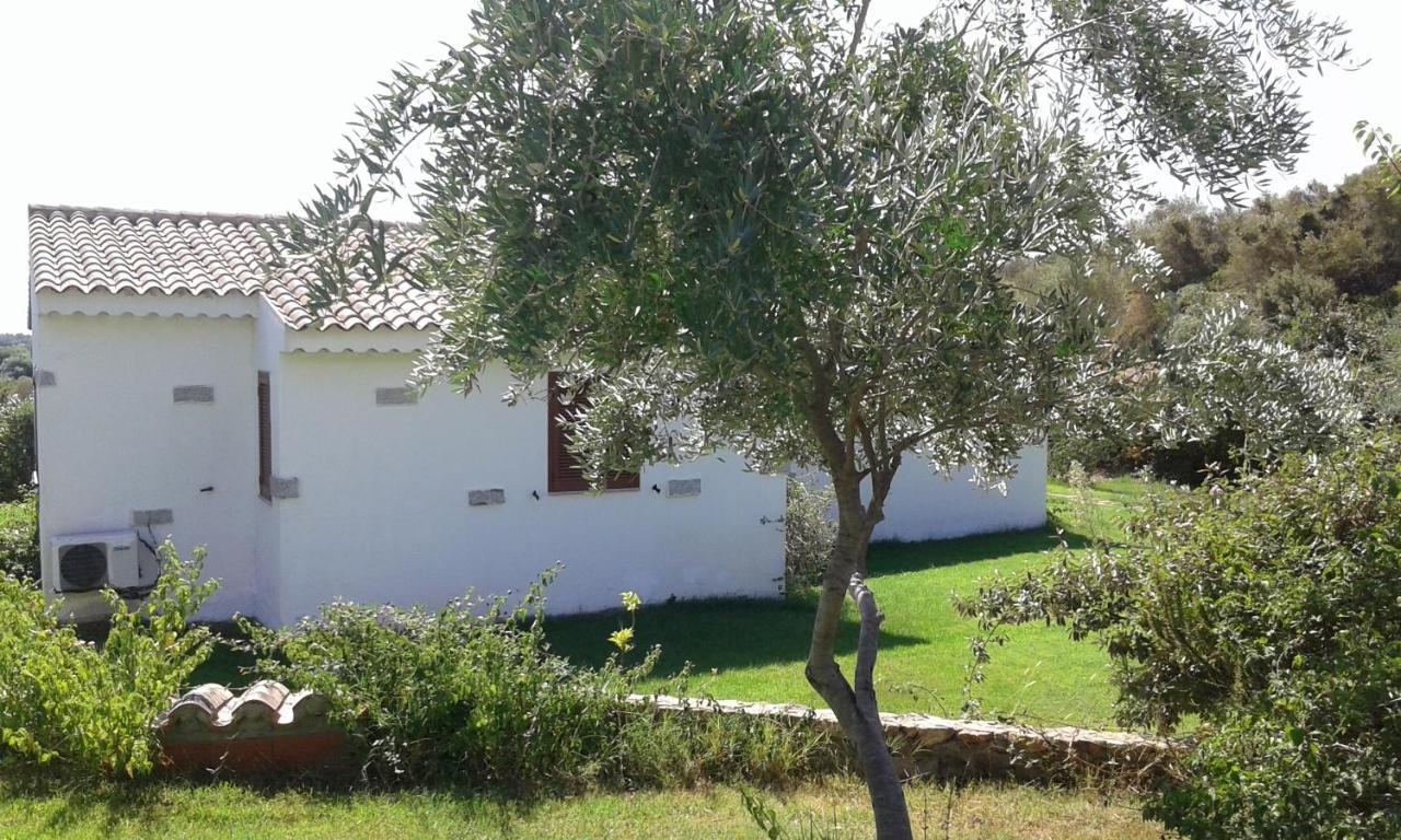 Hotel Lu Baroni Budoni Buitenkant foto